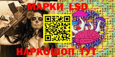 МДПВ Новодвинск