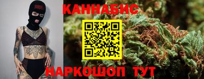 МДПВ Новодвинск